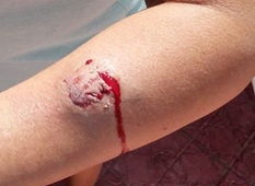 moreton01.jpg (207231 bytes)